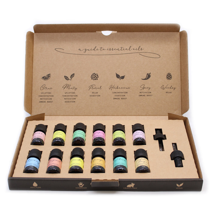 Aromatherapy Essential Oil Set - The Essentials