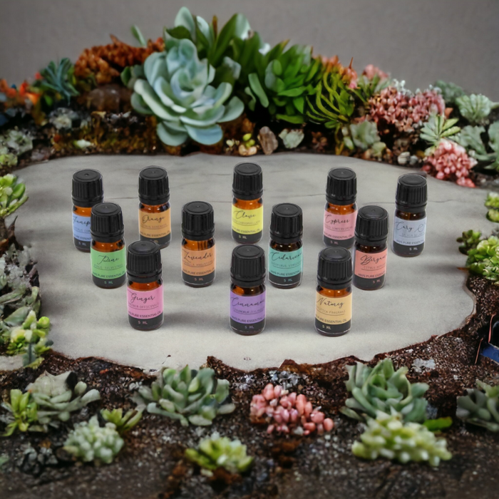 Aromatherapy Essential Oil Set - Autumn Scents Set