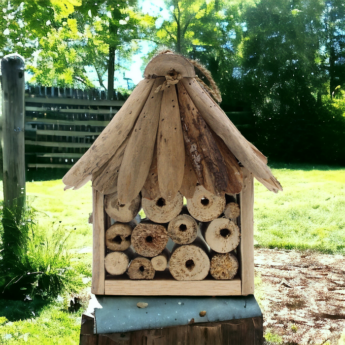 Modern Insect Box Driftwood Bee & Insect Box — Pixie Paradise