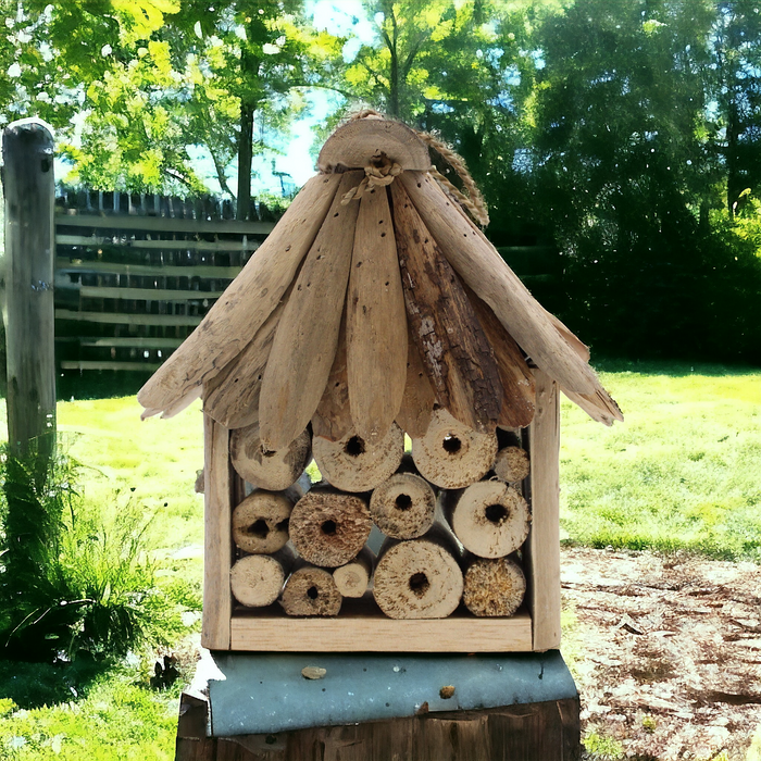 Driftwood Bee & Insect Box