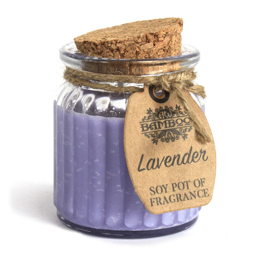 Lavender Soy Pot of Fragrance Candles x 2
