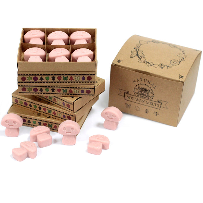 Box of 6 Wax Melts - Coffee Trader