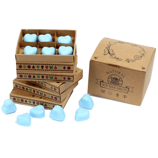 Box of 6 Wax Melts - Dewberry