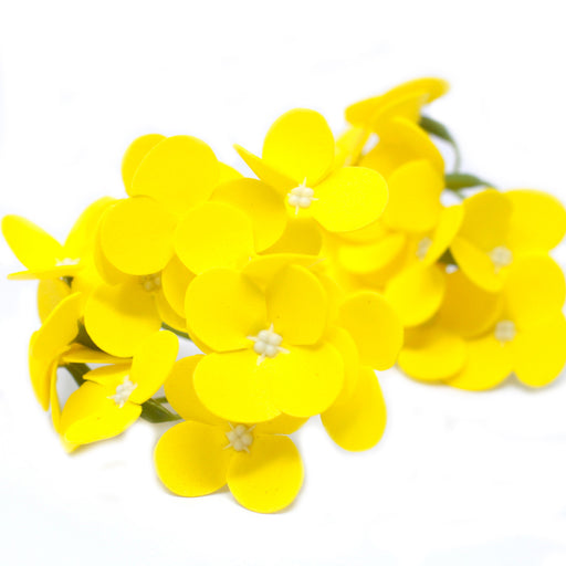 Craft Soap Flowers x 10 - Hyacinth Bean - Yellow