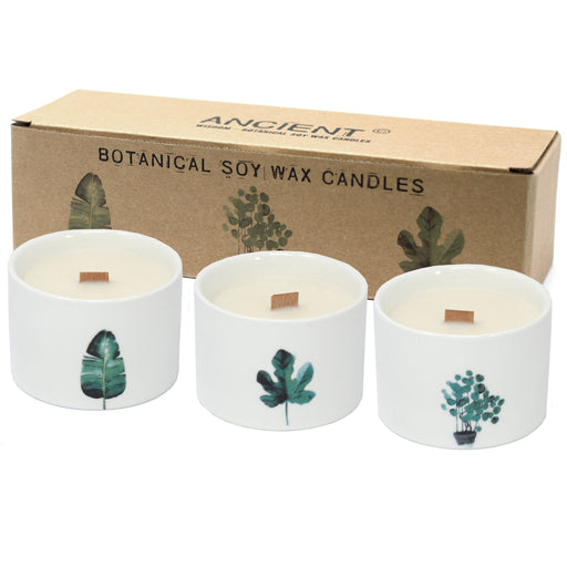 Botanical Candles - Japanese Garden - Medium 