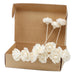 Natural Diffuser Flowers - Rose on Reed x 12